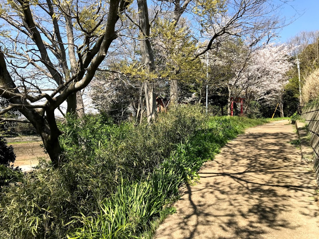 阿須波神社へ続く道