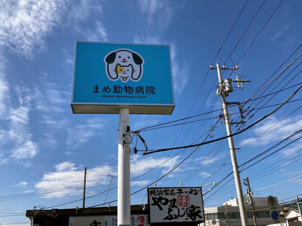 まめ動物病院１