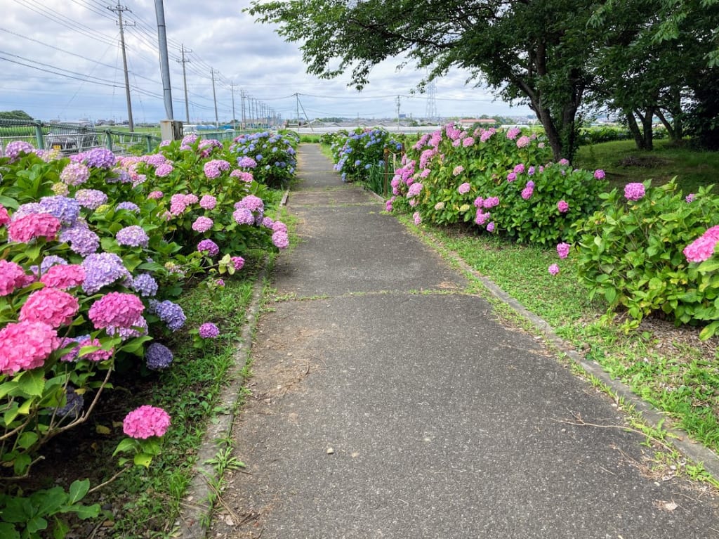 あずの里いちはら2