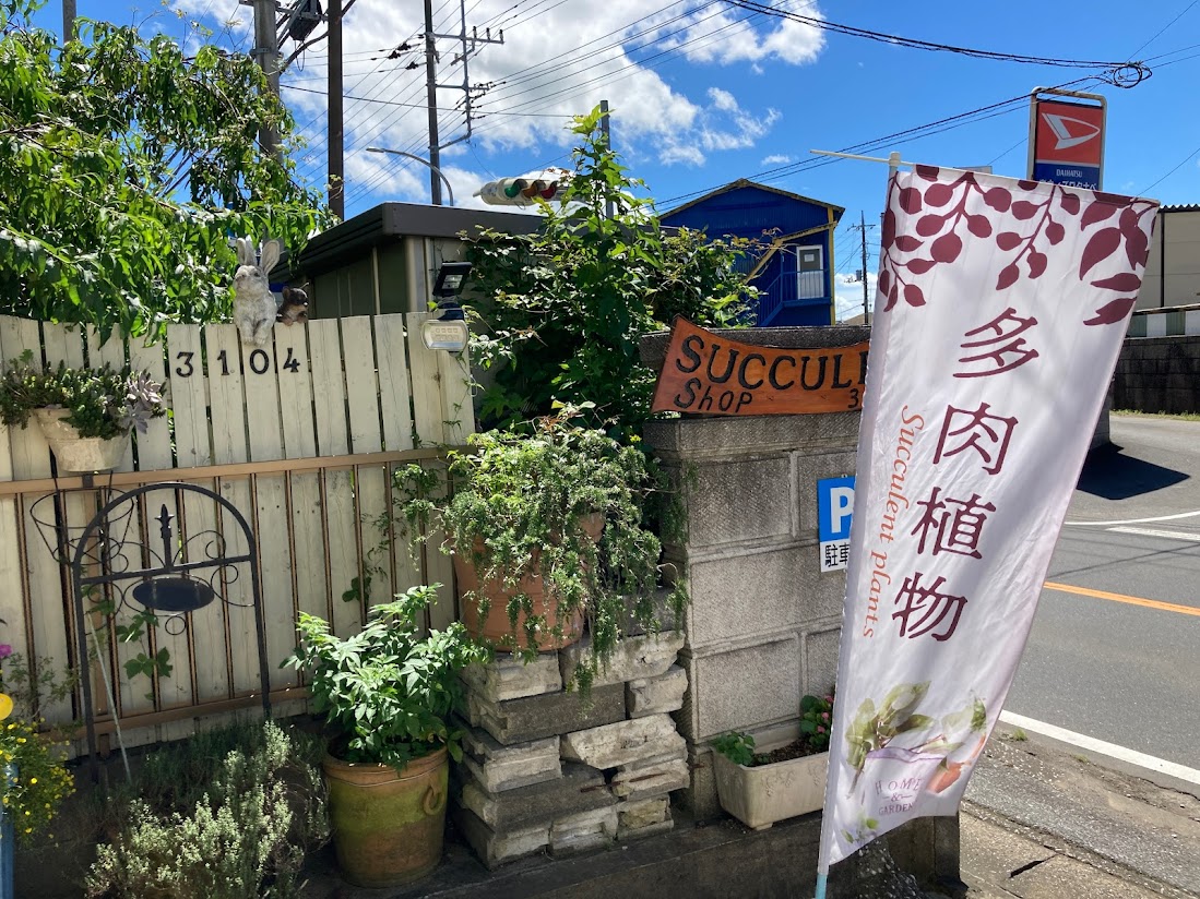 市原市 多肉愛好家さんにはたまらない 多肉植物いっぱいのお店 Succlent Shop 3104 見 つけた 号外net 市原市