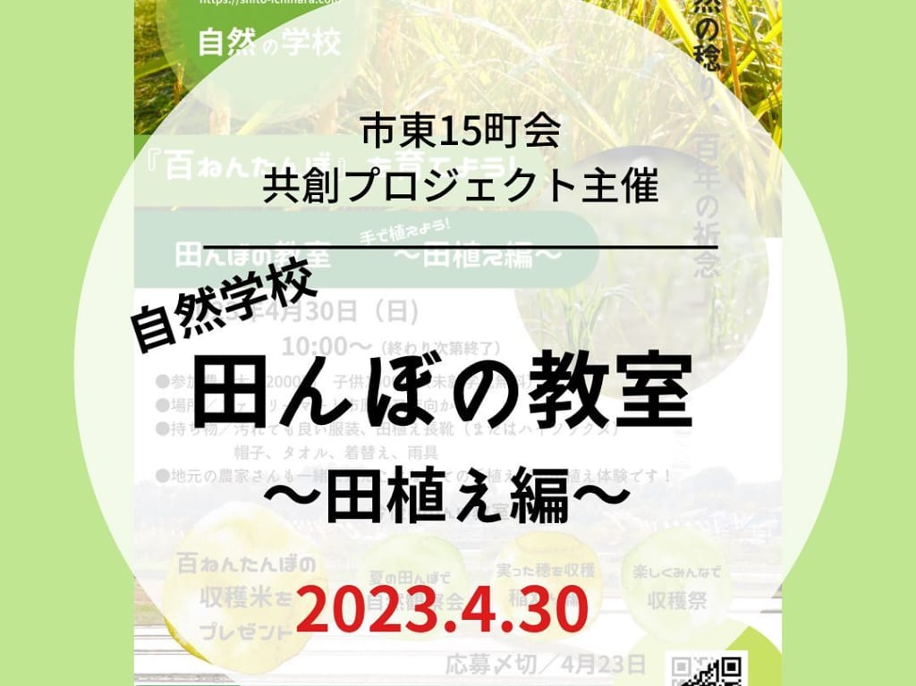 百ねんたんぼ4