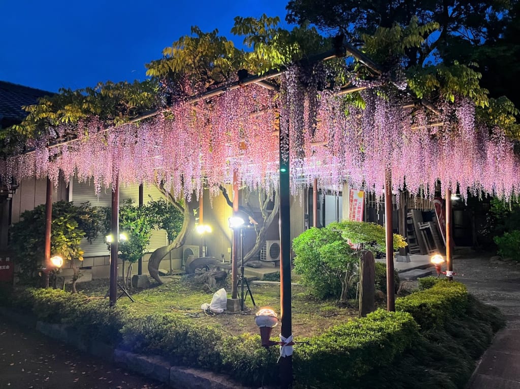 大宮神社8