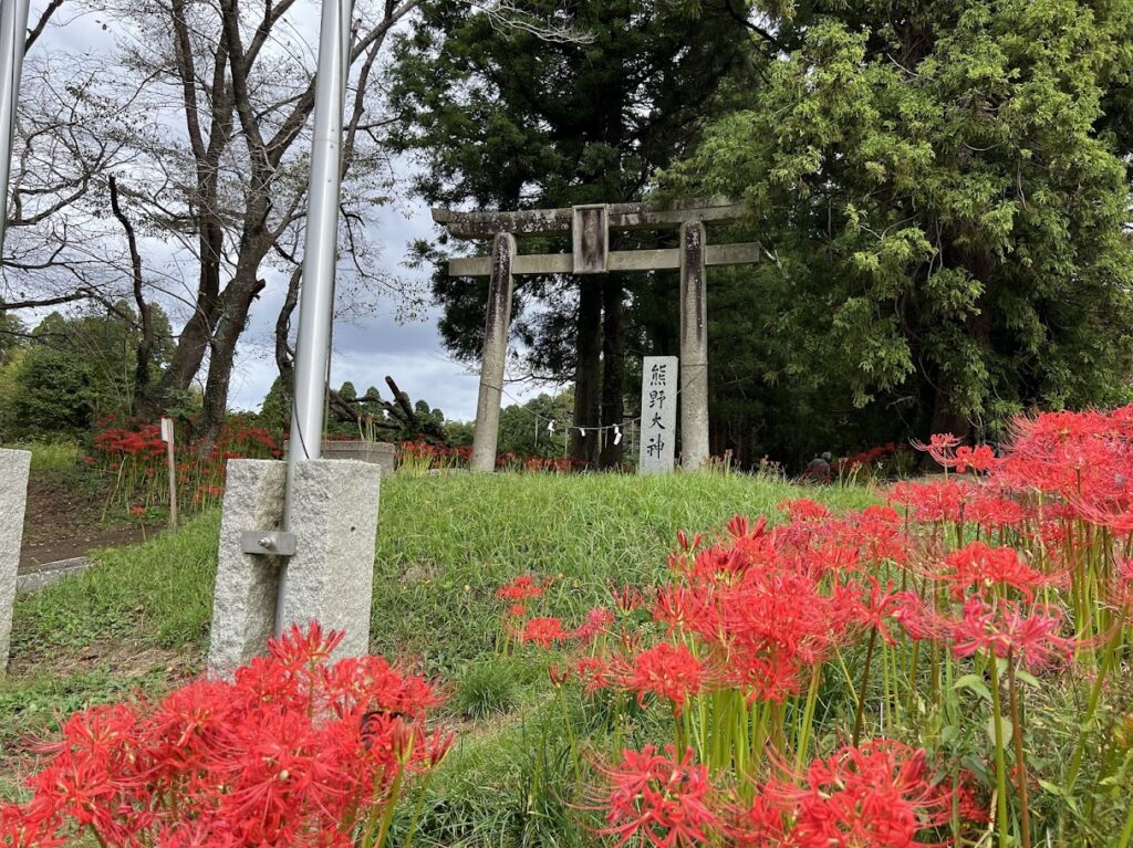 熊野神社1