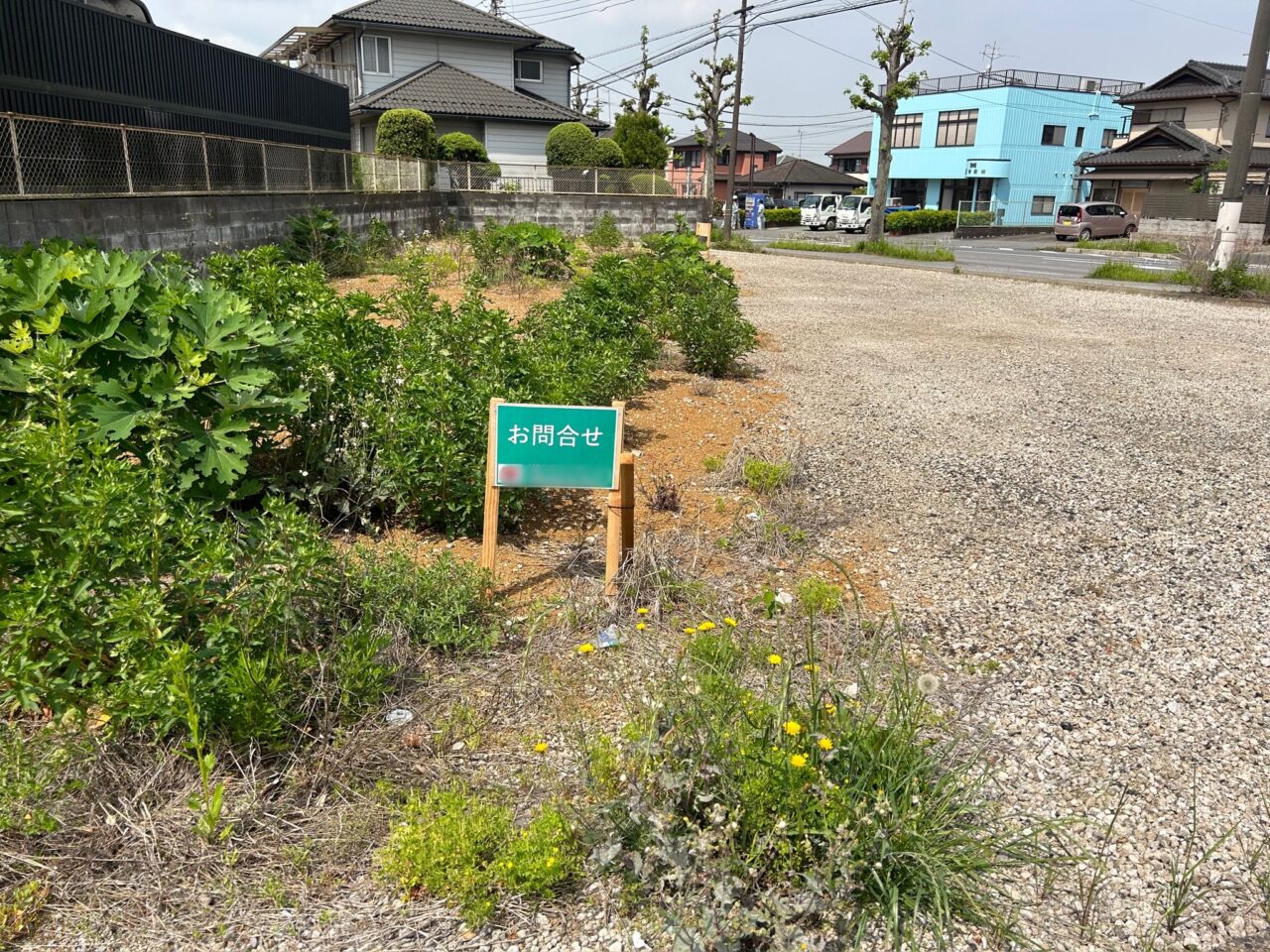 ラーメンガキ大将