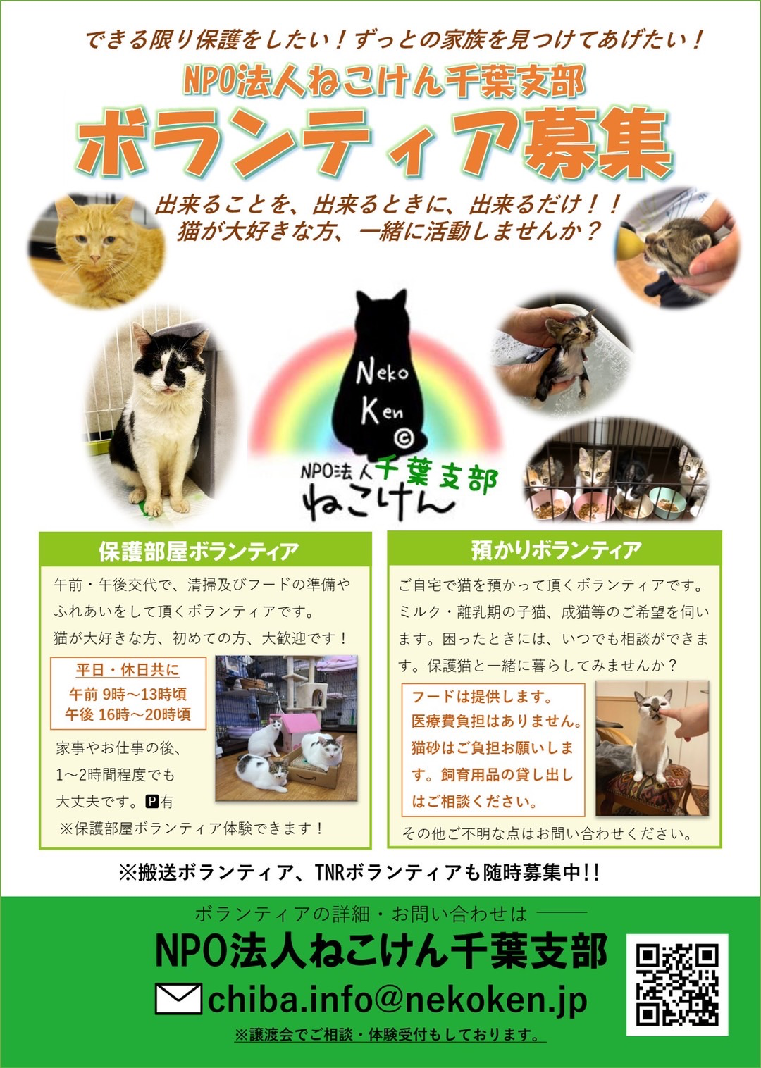 猫譲渡会