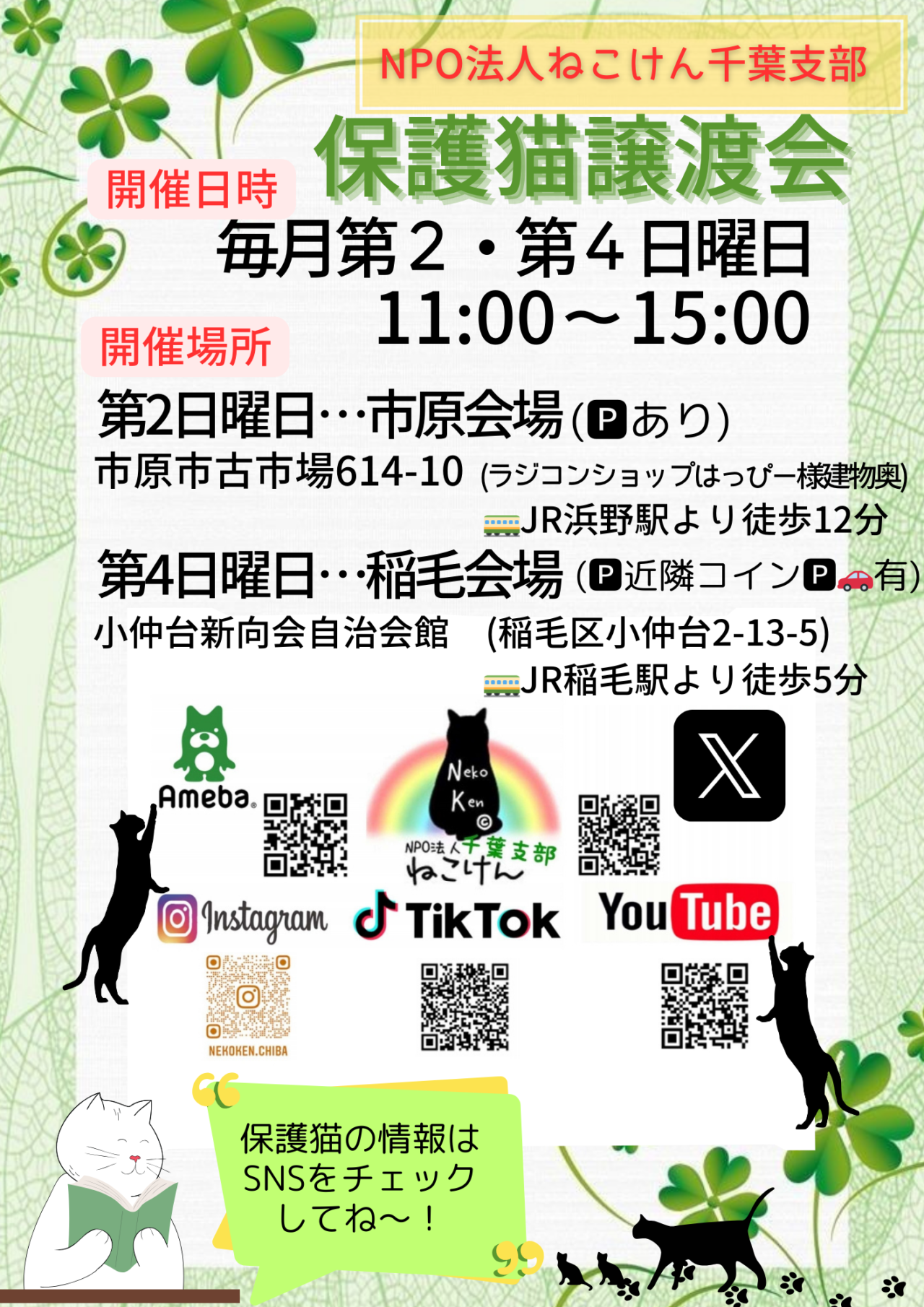 猫譲渡会