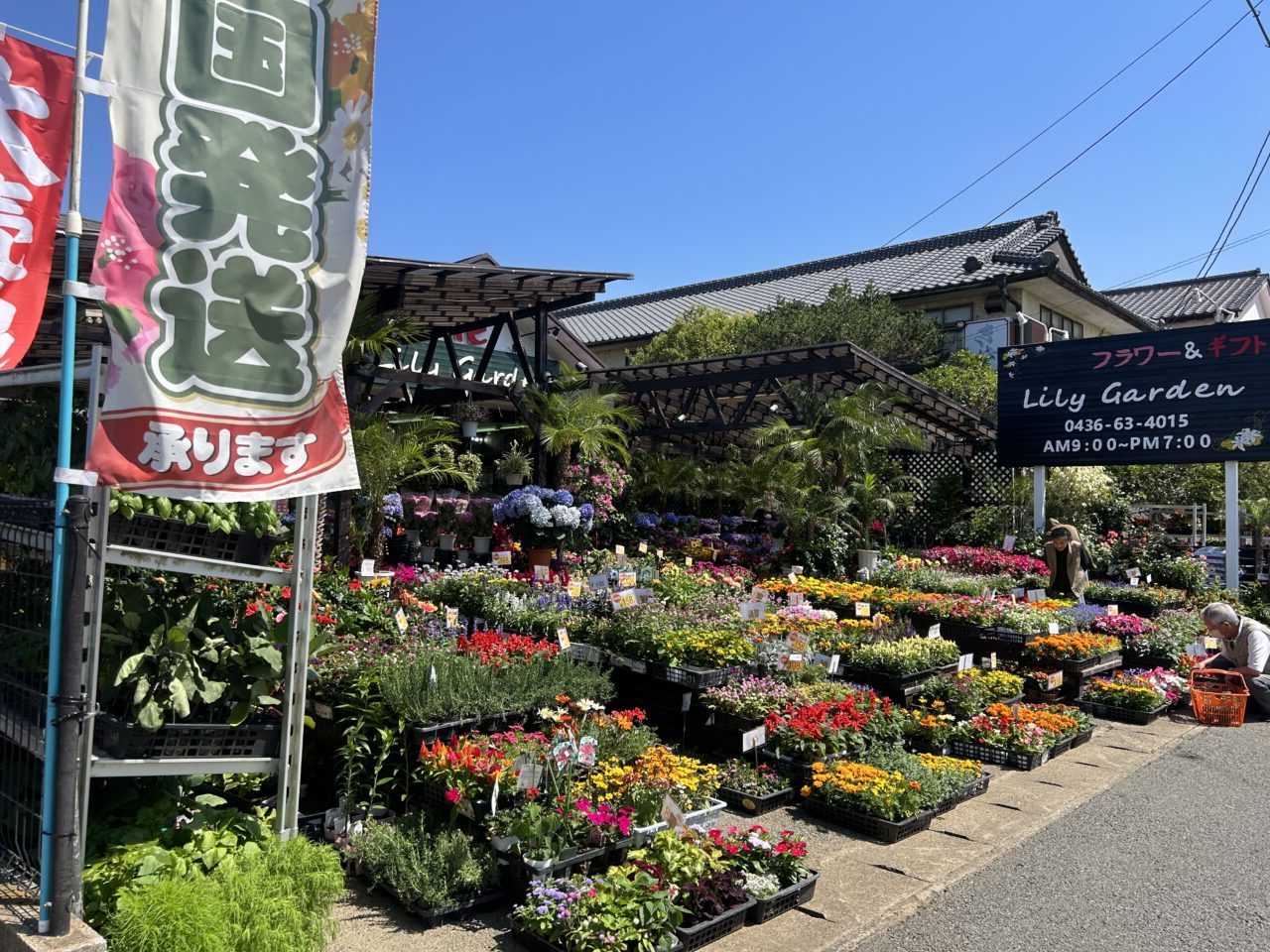 LilyGarden