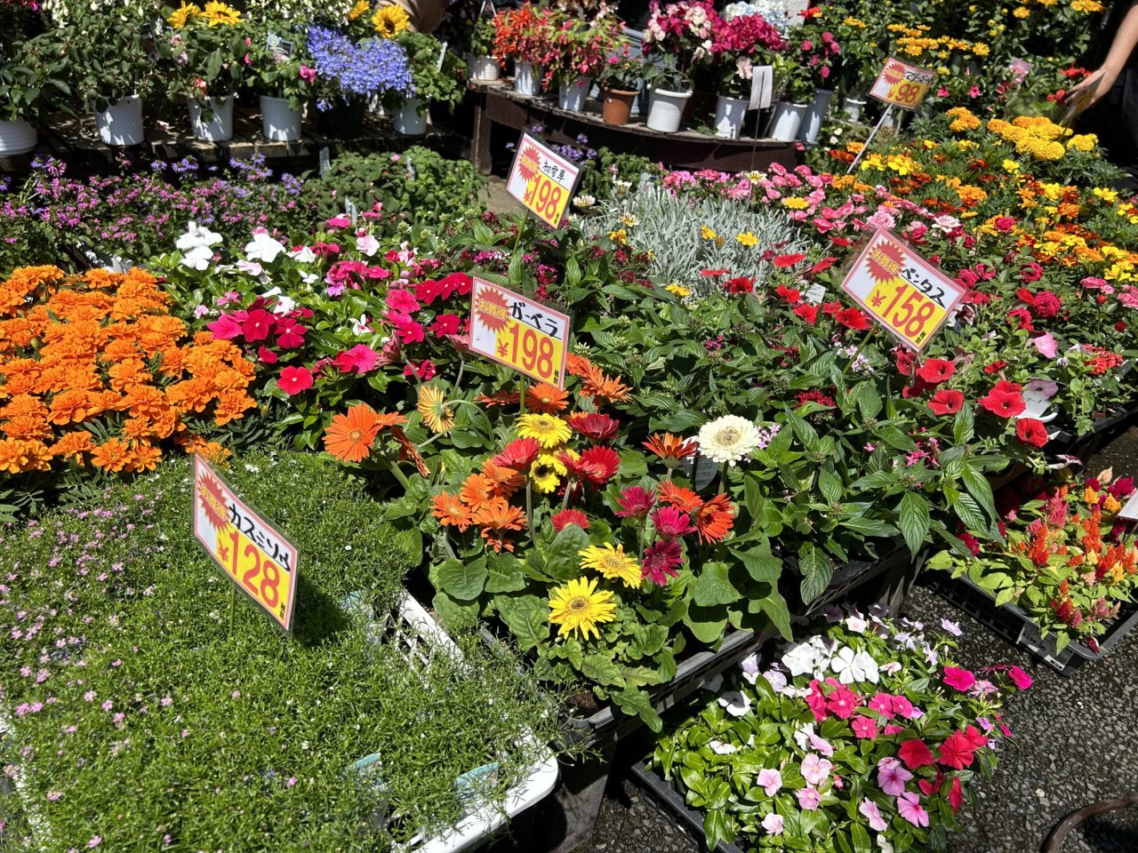 LilyGarden