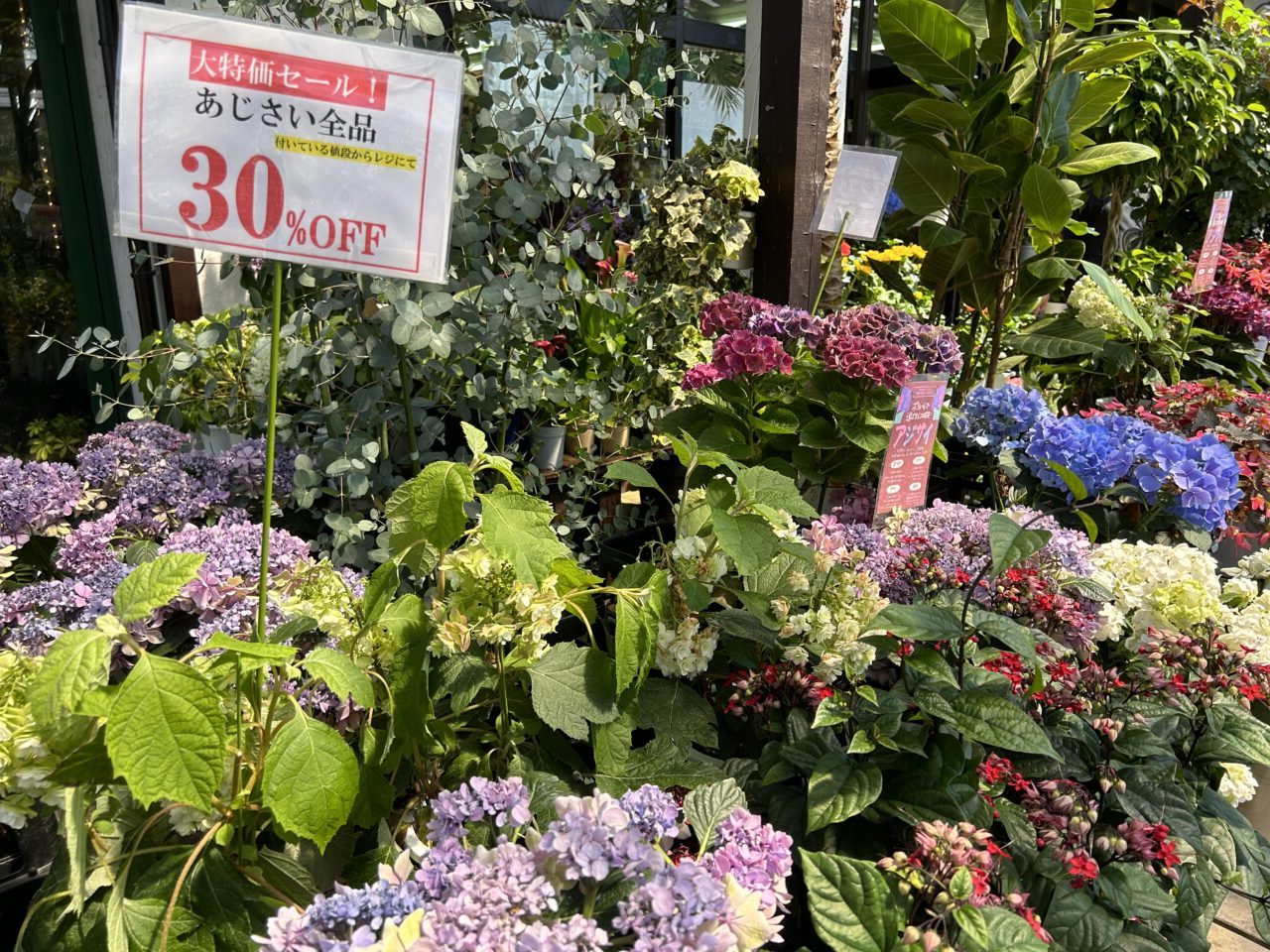 LilyGarden