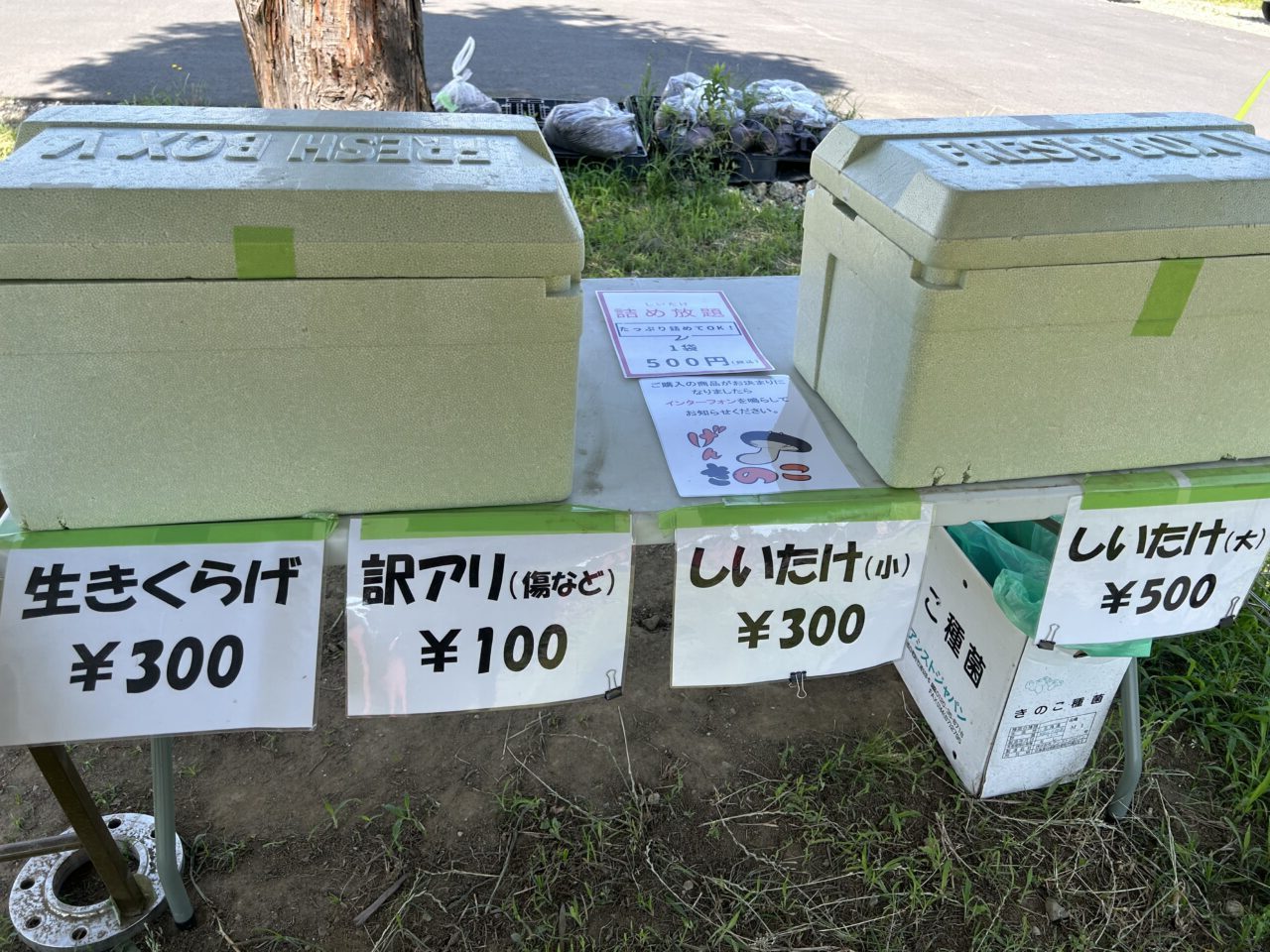げんきのこ