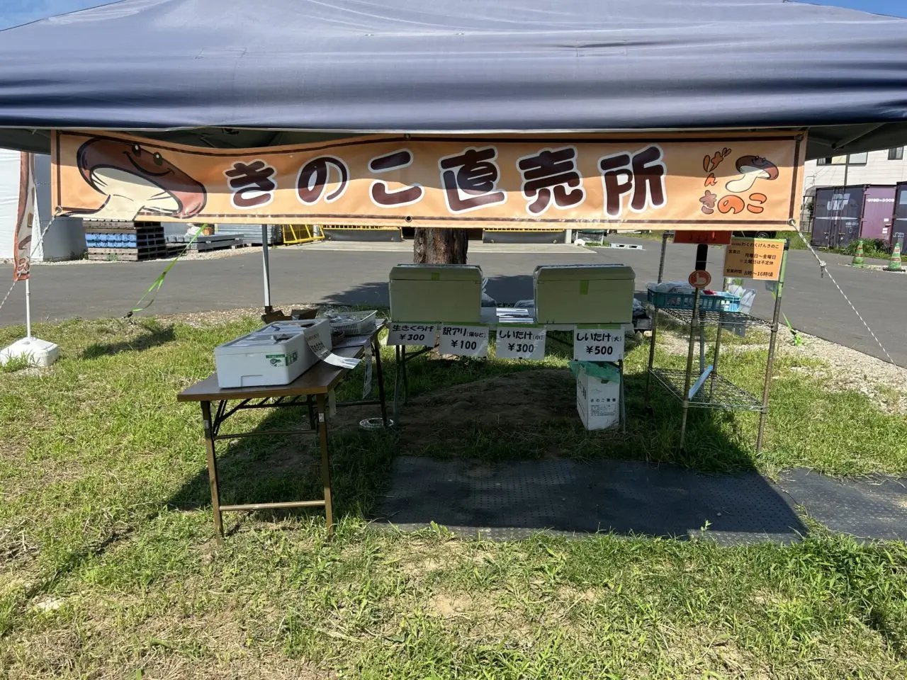 げんきのこ