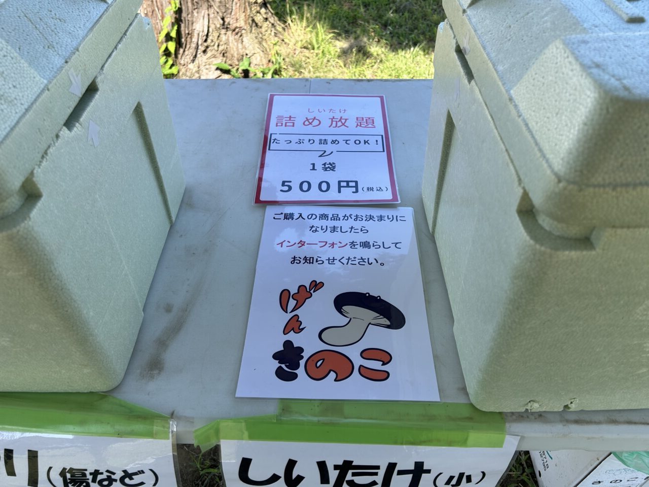 げんきのこ