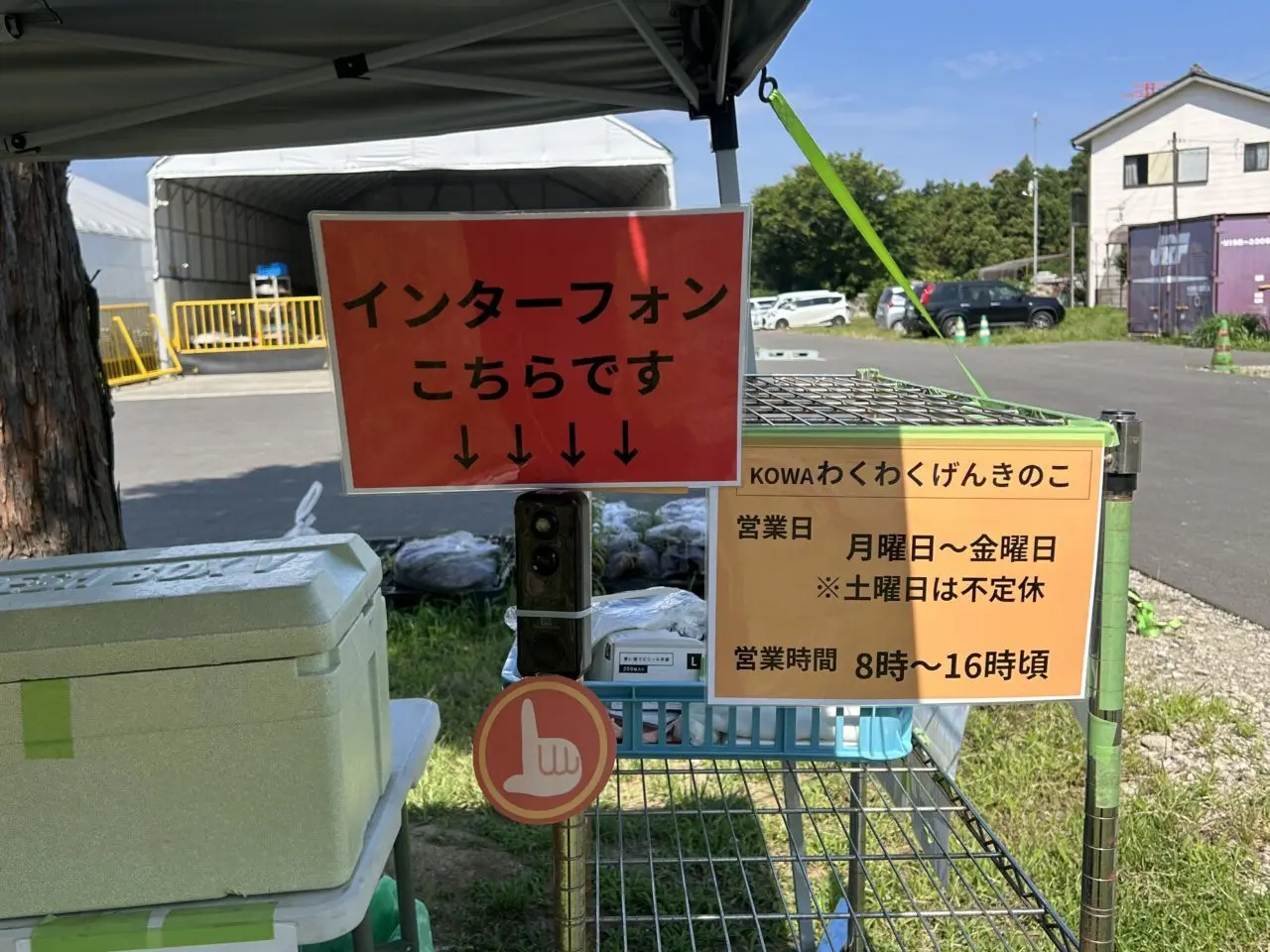 げんきのこ