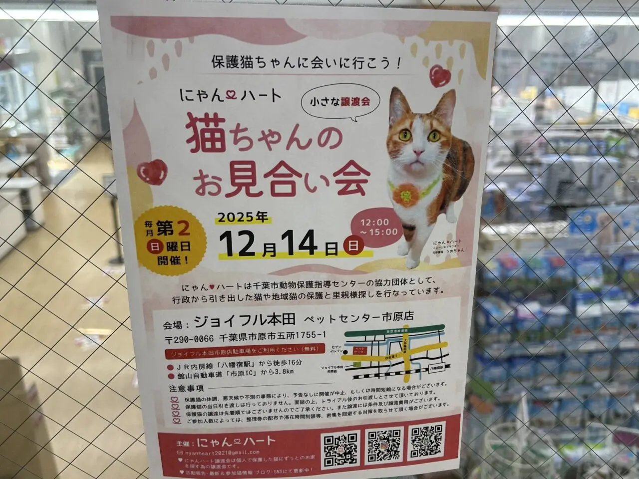 ジョイフル本田ペットセンター市原店