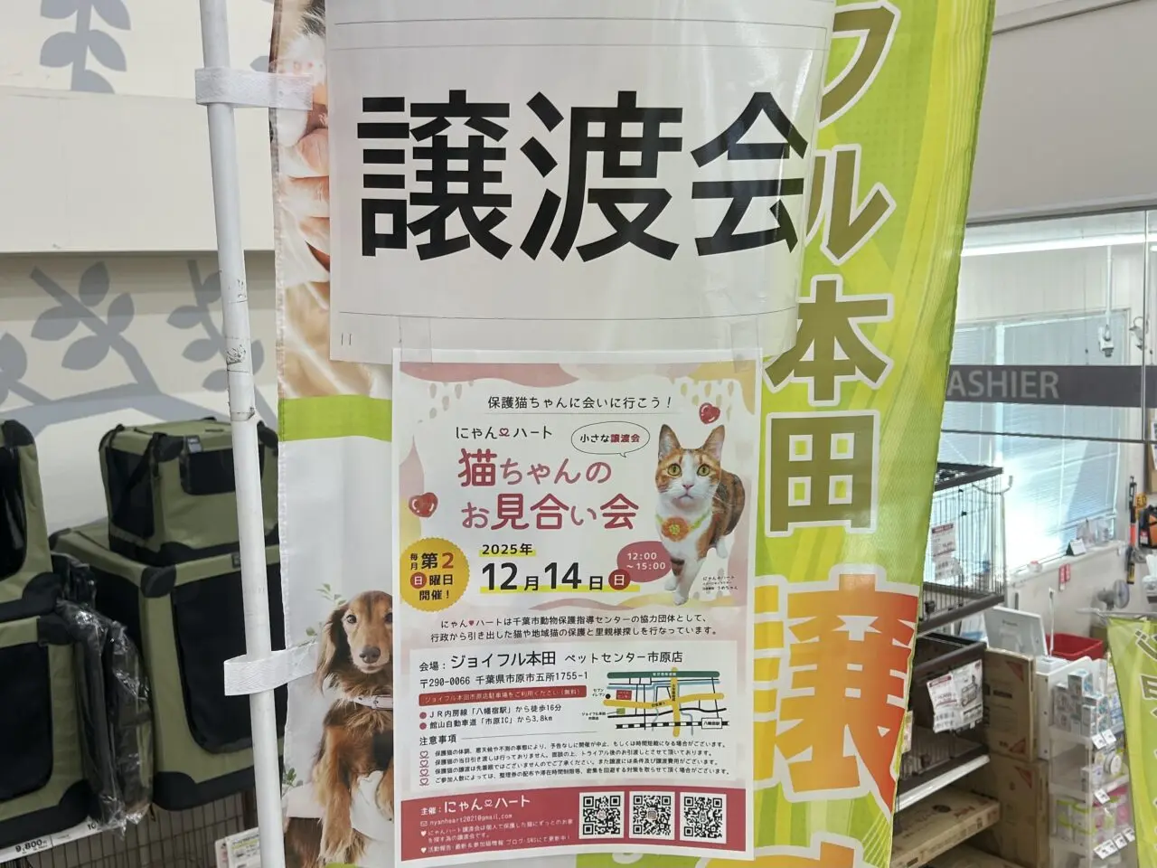ジョイフル本田ペットセンター市原店